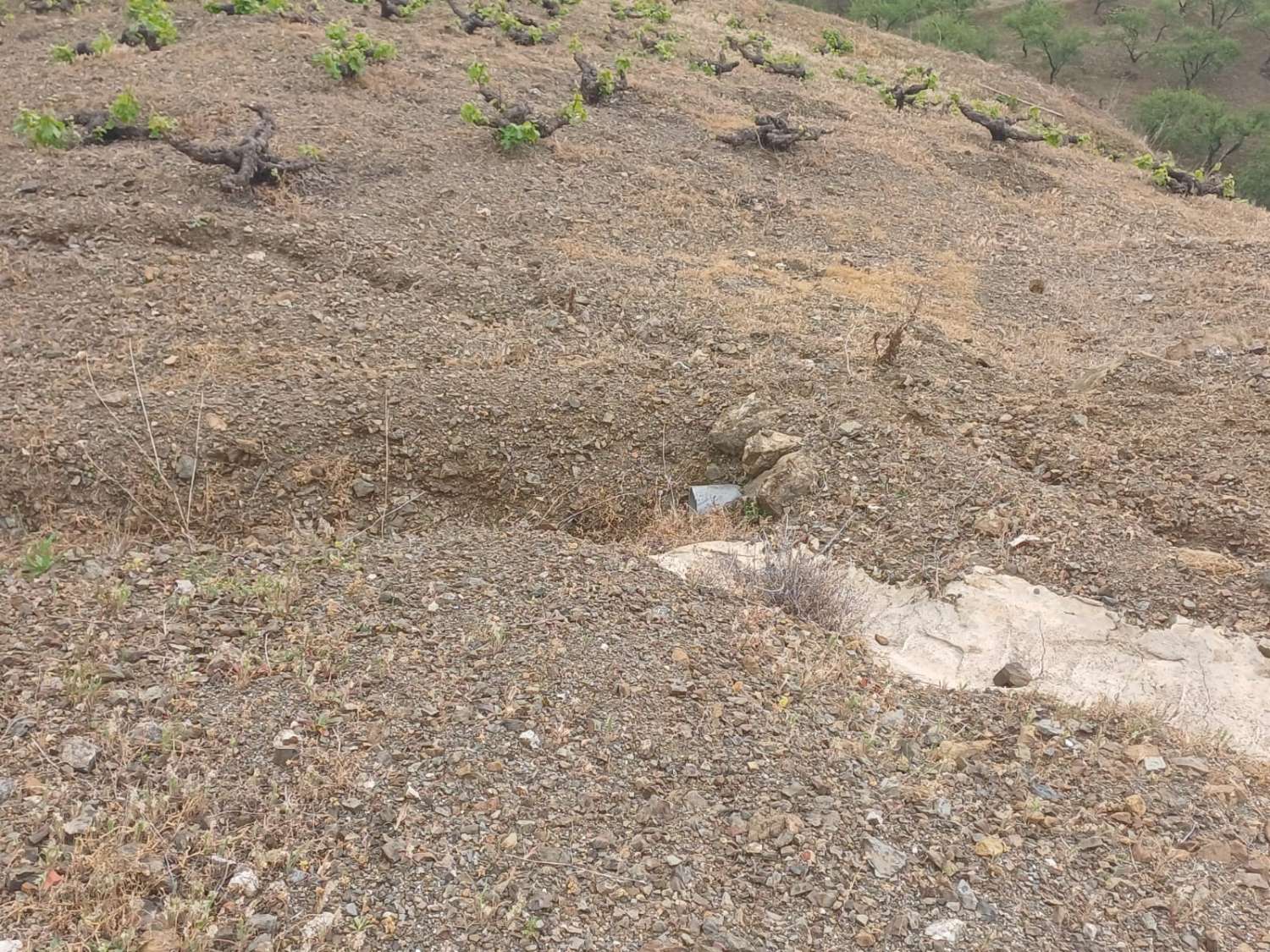 Etxea salgai in Almáchar