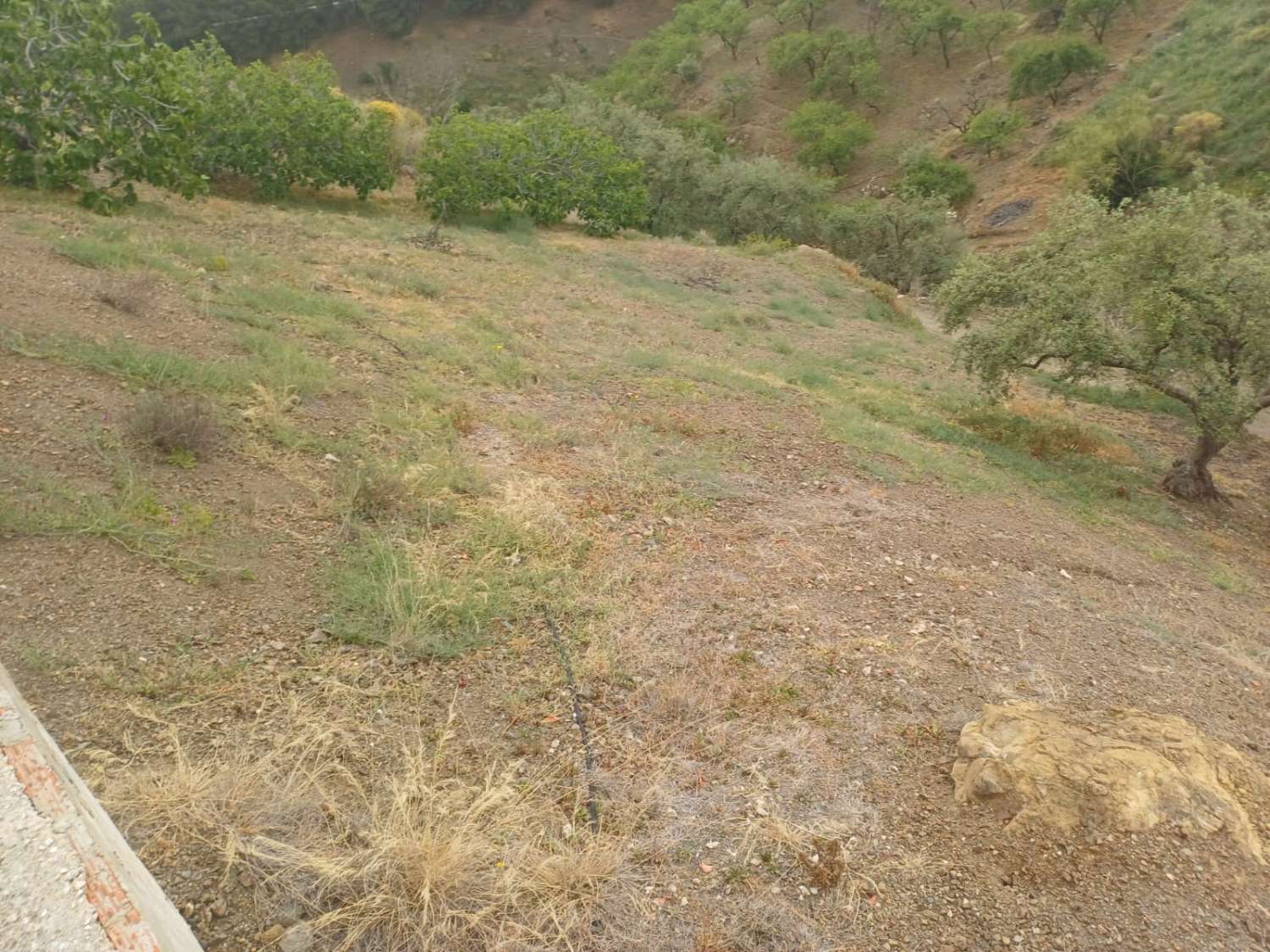 Etxea salgai in Almáchar