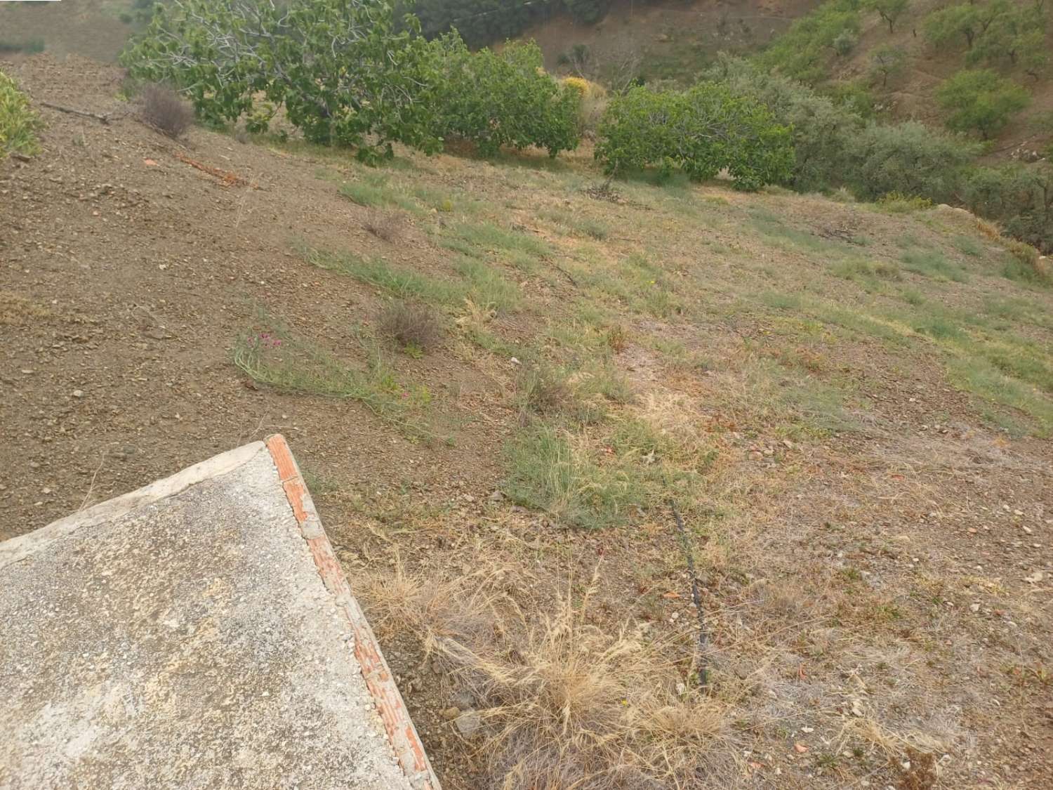 Etxea salgai in Almáchar