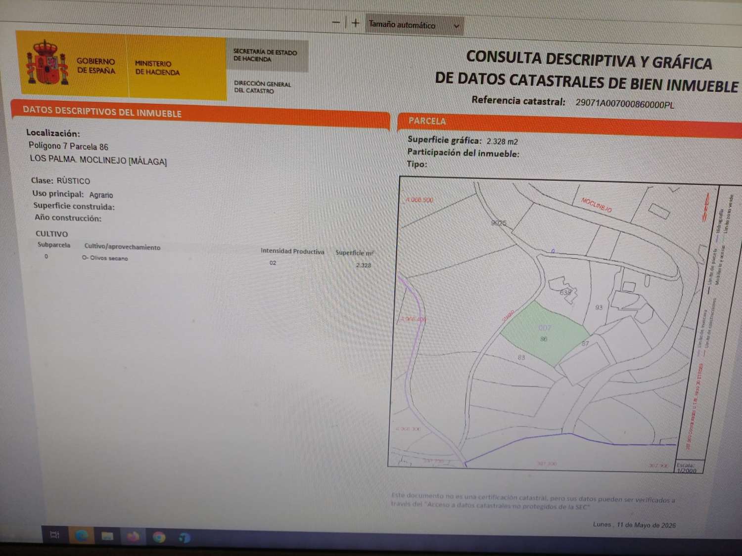 Parcela en moclinejo puesta de olivos