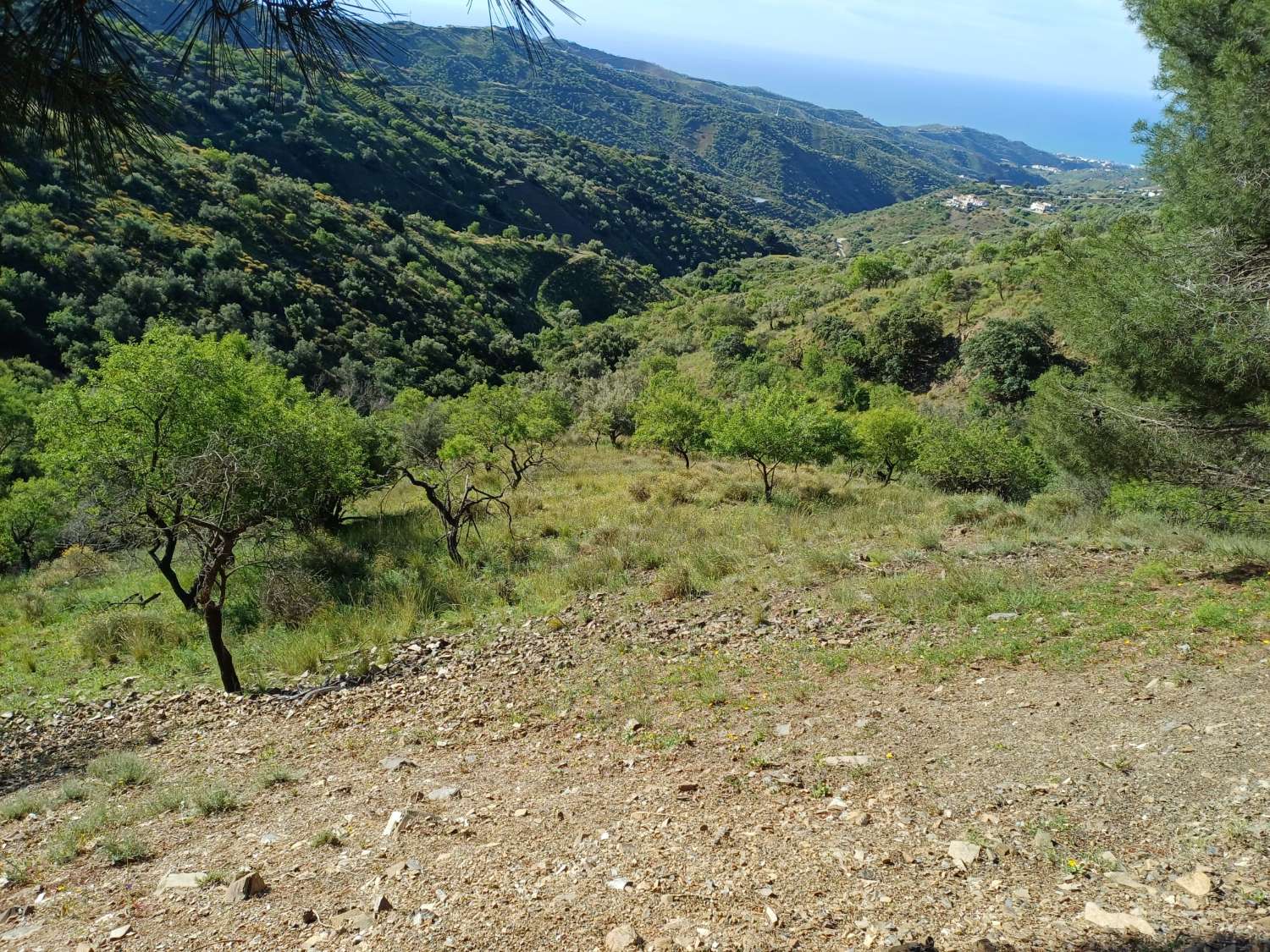 Parcela en moclinejo con vistas al mar y junto a la carretera