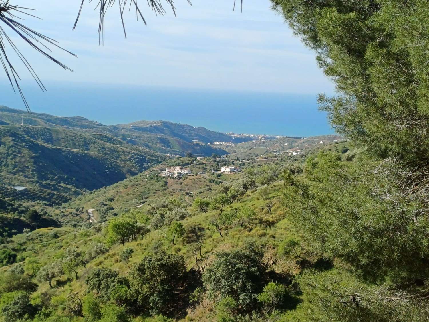 Parcela en moclinejo con vistas al mar y junto a la carretera