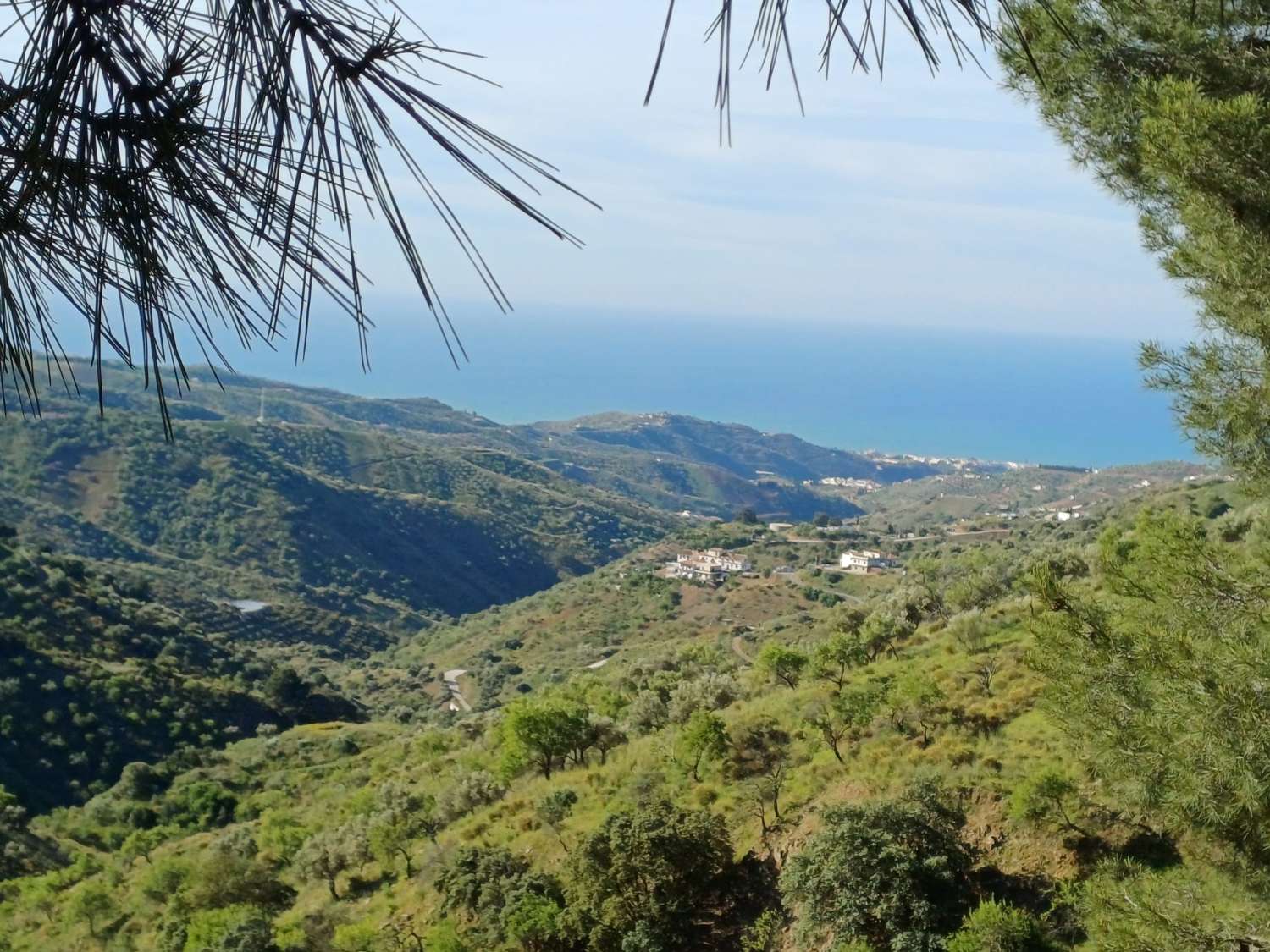 Parcela en moclinejo con vistas al mar y junto a la carretera