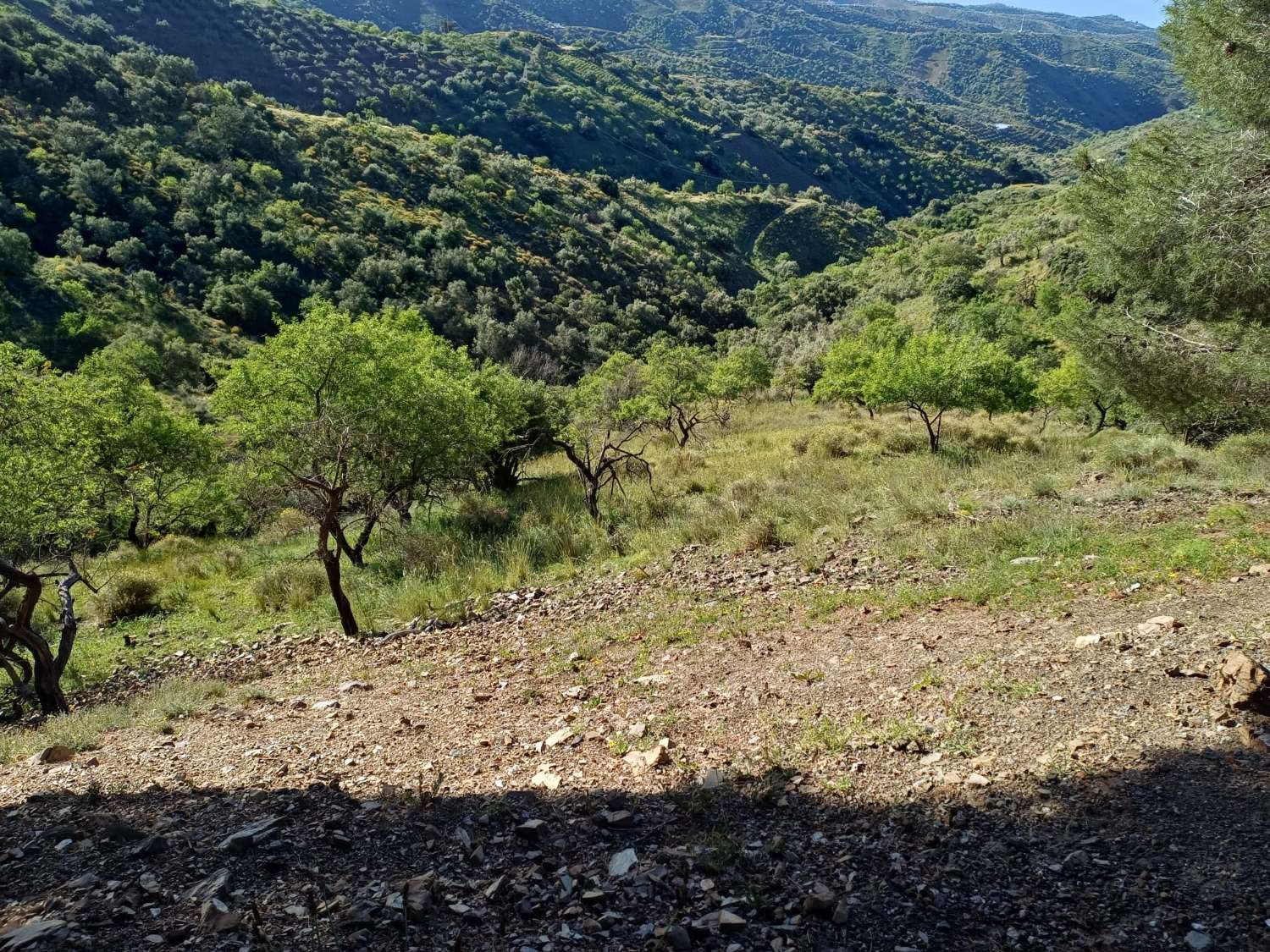 Parcela en moclinejo con vistas al mar y junto a la carretera