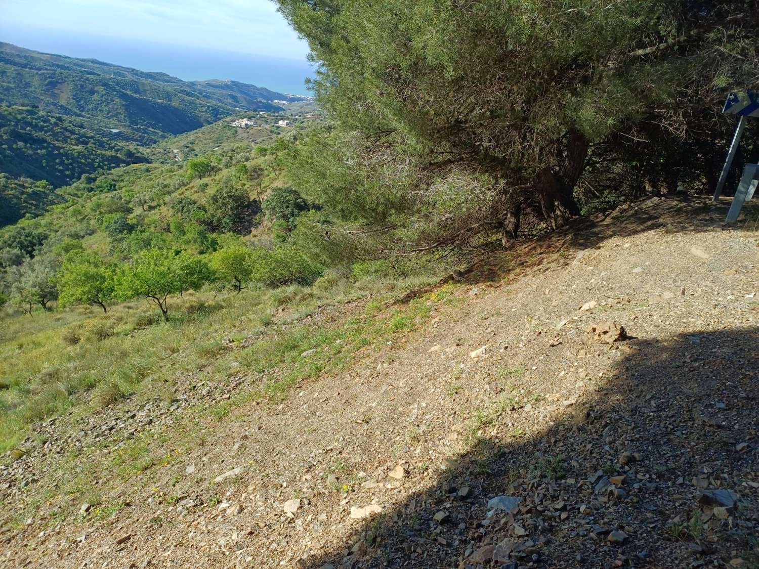 Parcela en moclinejo con vistas al mar y junto a la carretera