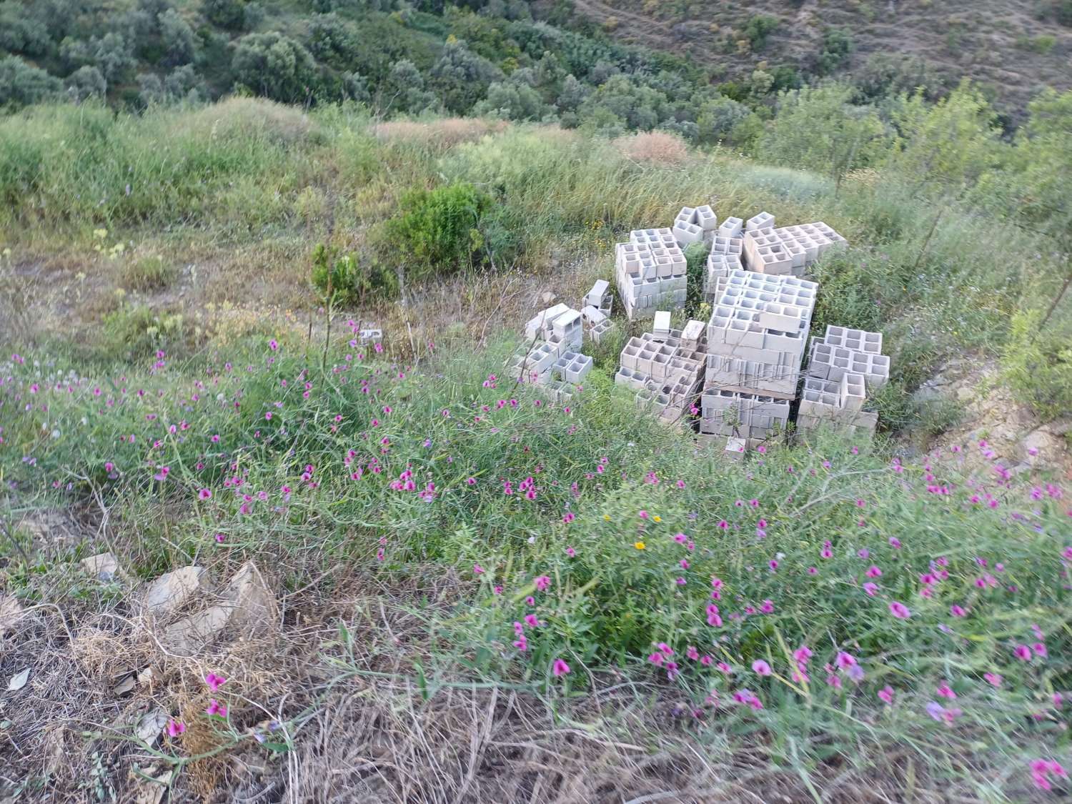 Parcela en moclinejo con arboles frutales