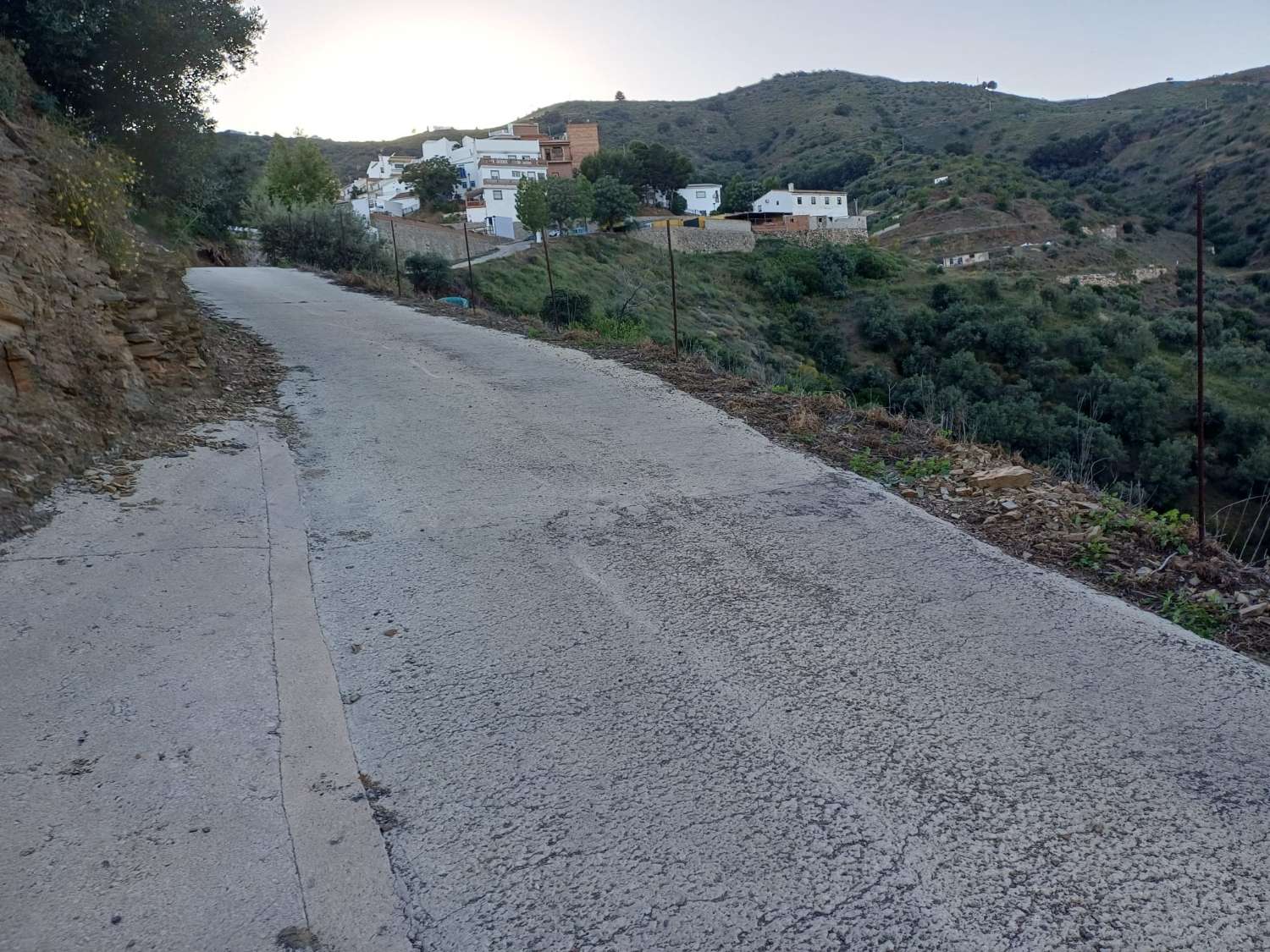 Parcela en moclinejo con arboles frutales
