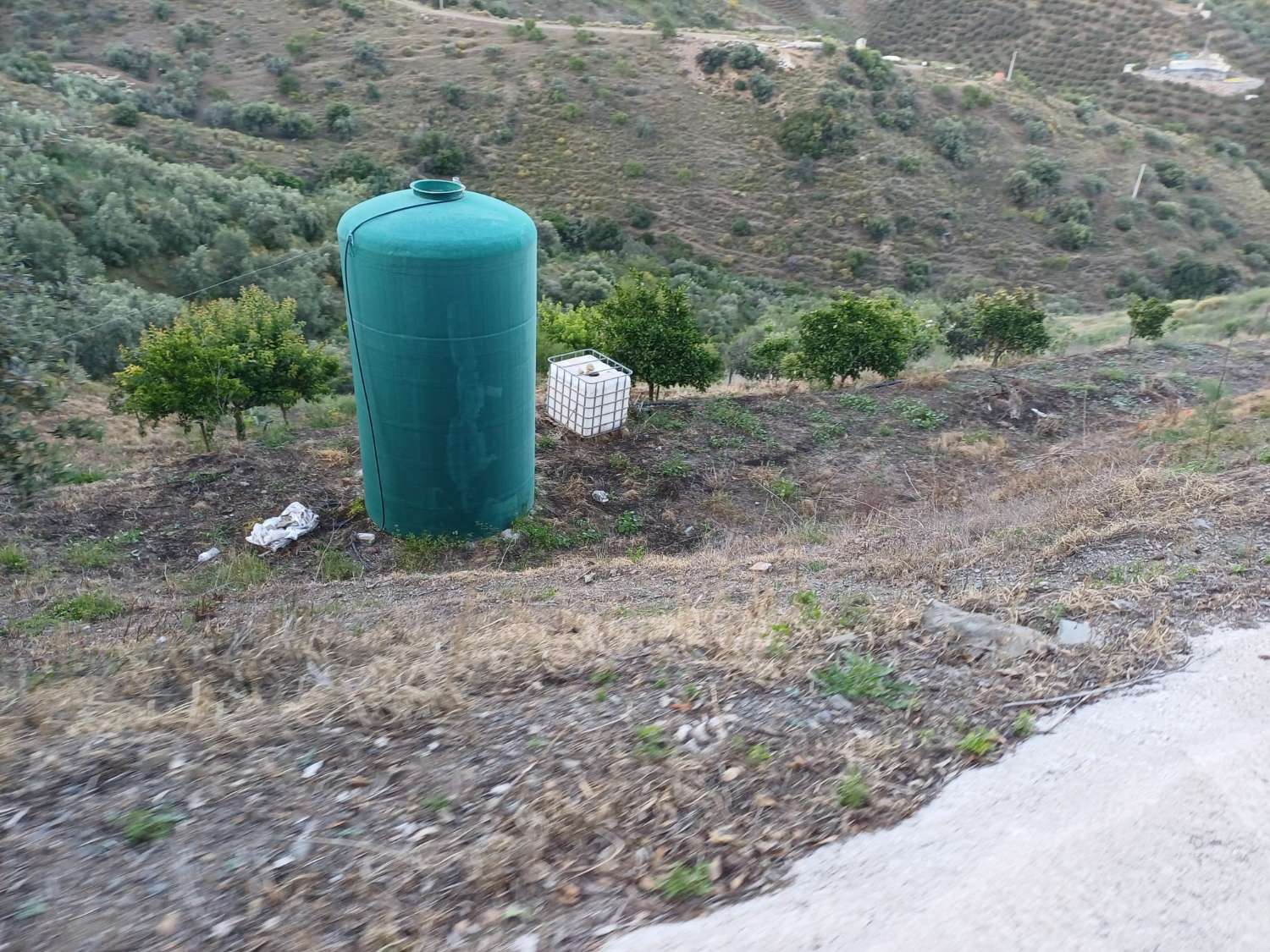 Parcela en moclinejo con arboles frutales