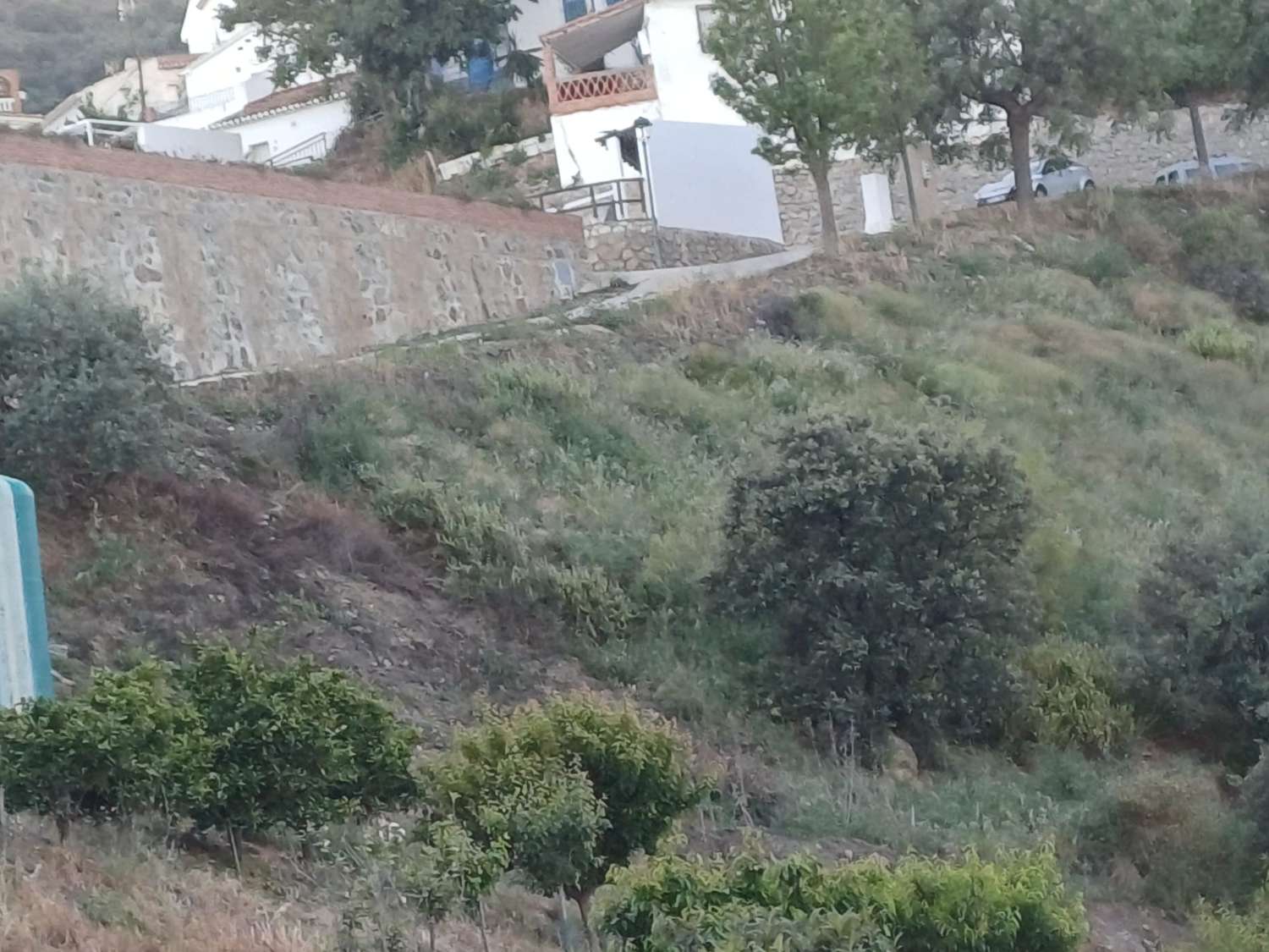 Parcela en moclinejo con arboles frutales