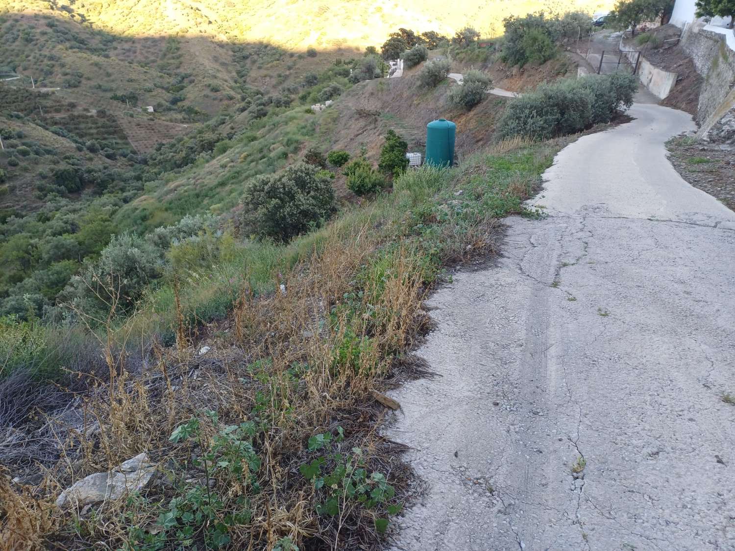 Parcela en moclinejo con arboles frutales