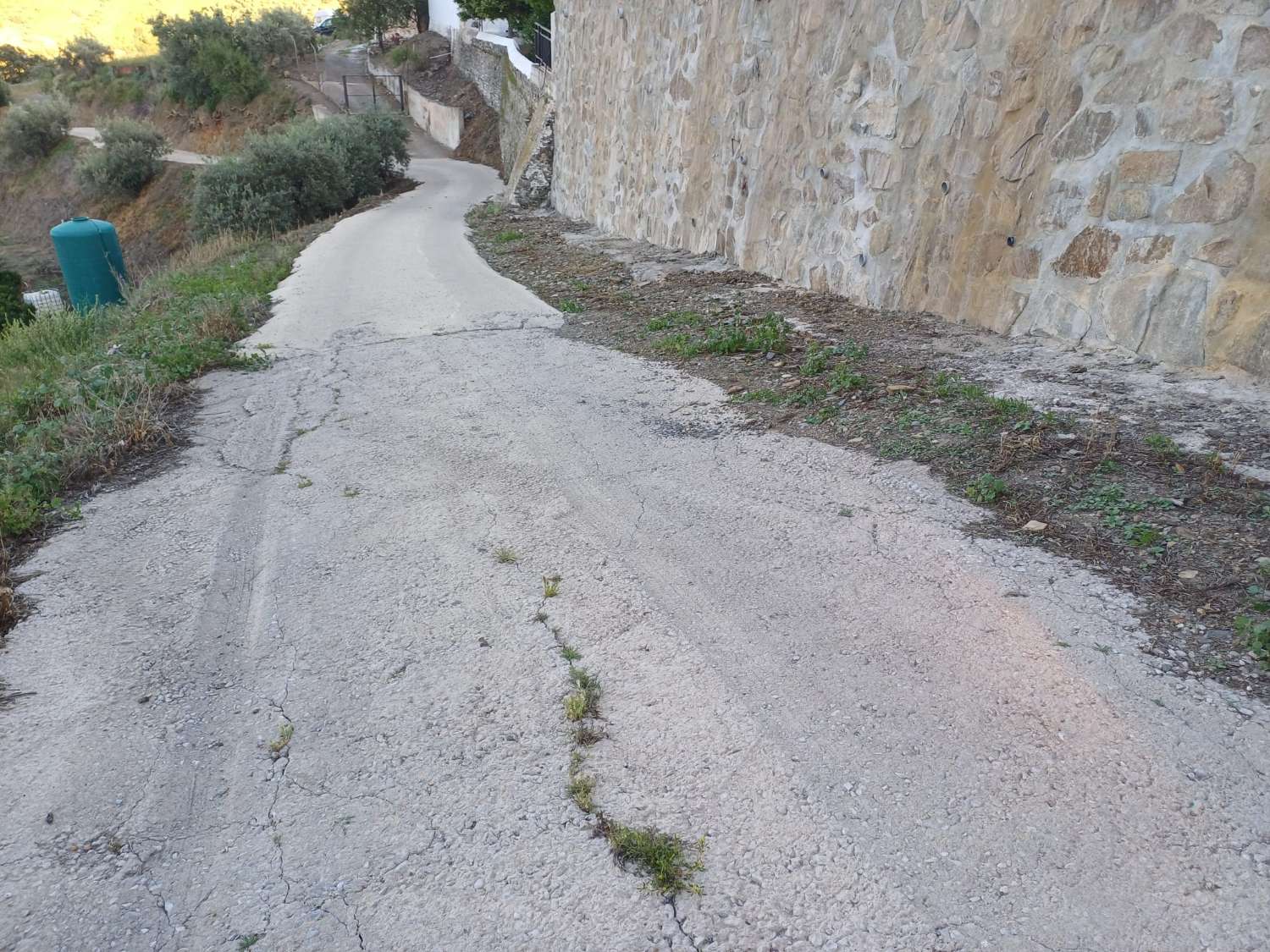 Parcela en moclinejo con arboles frutales