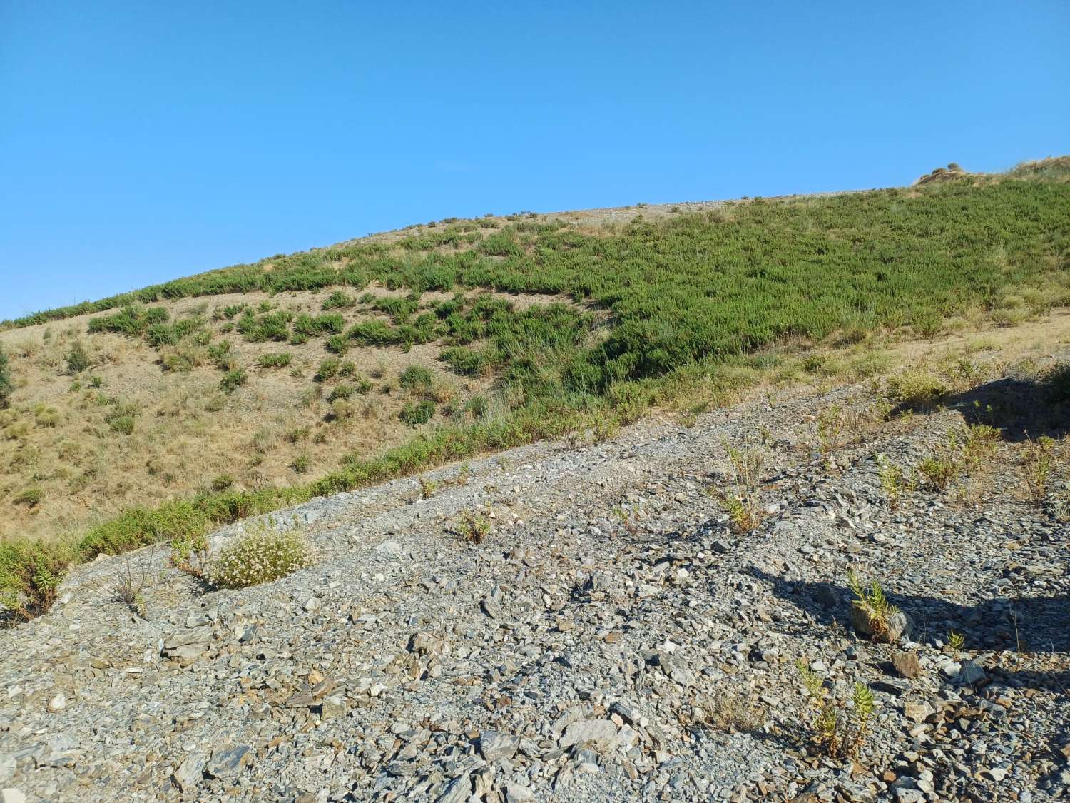 Terrain à La Viñuela avec vue sur le réservoir