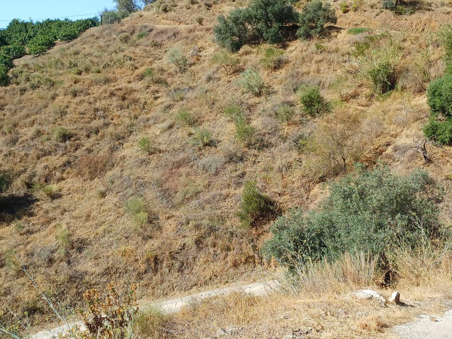 Parcela en moclinejo