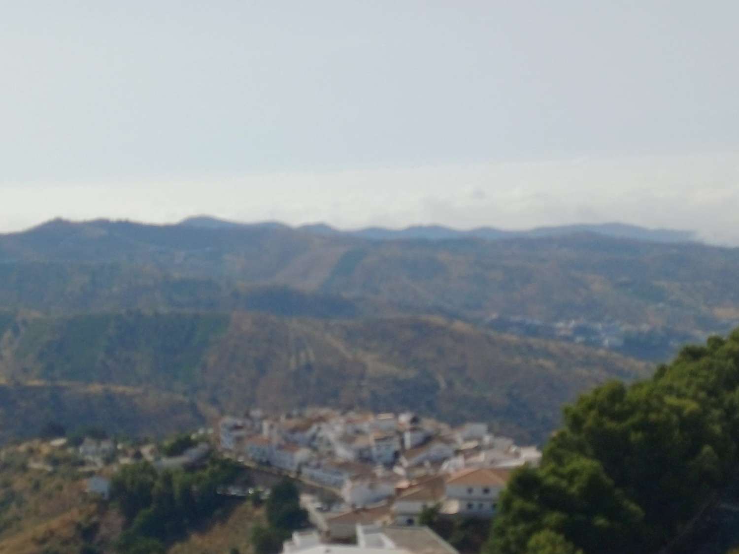 Parcela en moclinejo