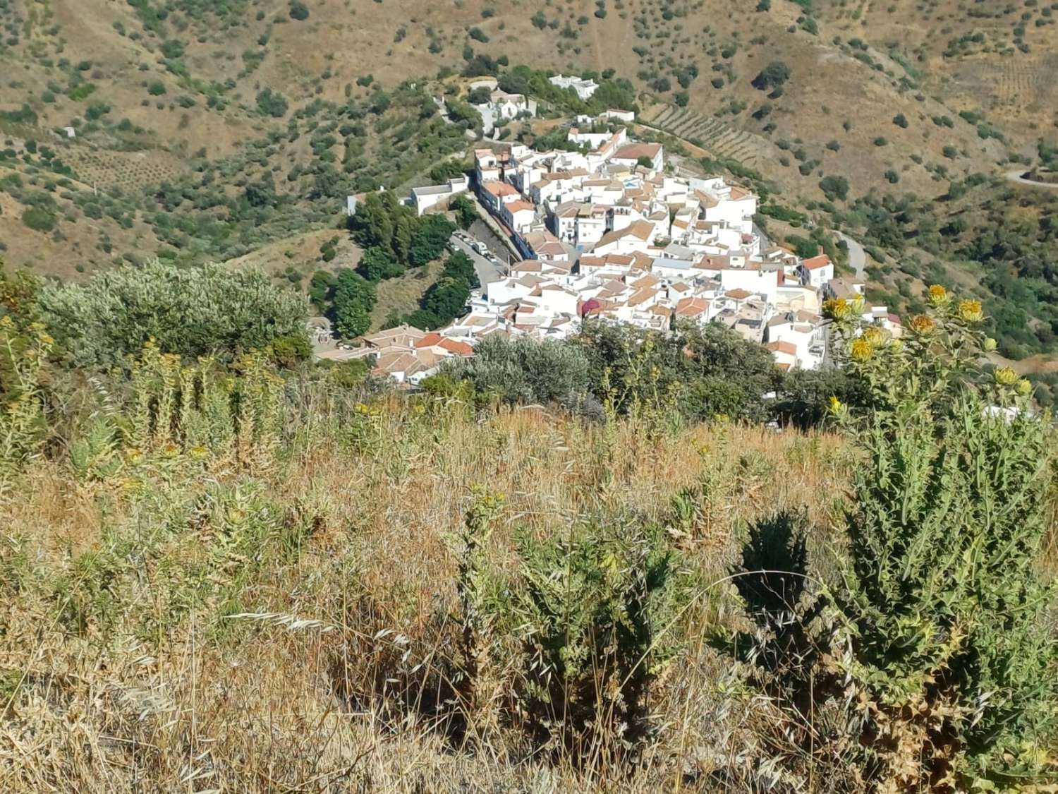 Parcela en moclinejo para hacerse un chalet + piscina o un campig