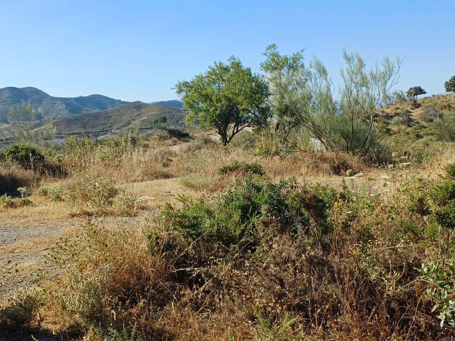 Parcela en moclinejo para hacerse un chalet + piscina o un campig
