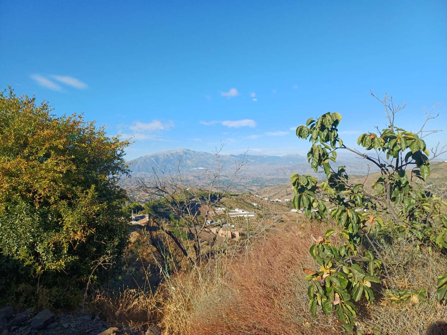 Parcela con casa de campo sin terminar  en almachar