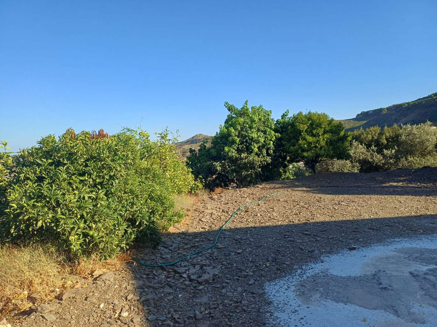 Parcela con casa de campo sin terminar  en almachar