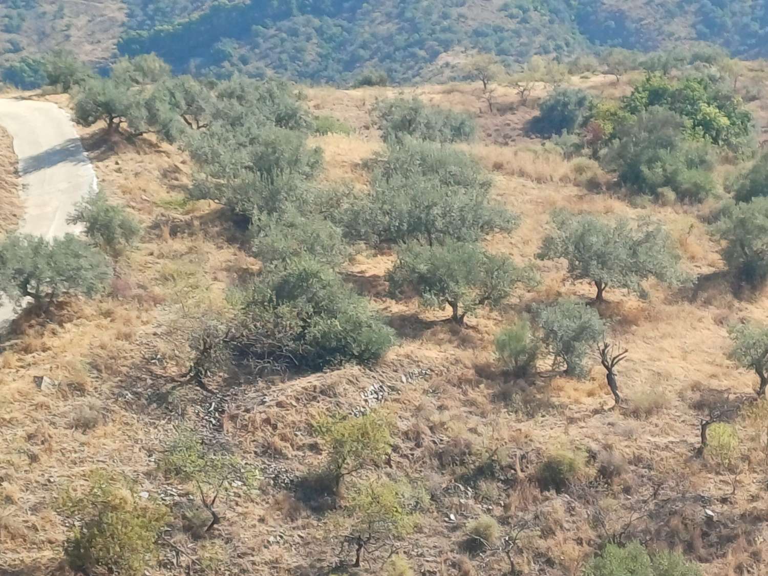 Rustic plot in Moclinejo with sea views