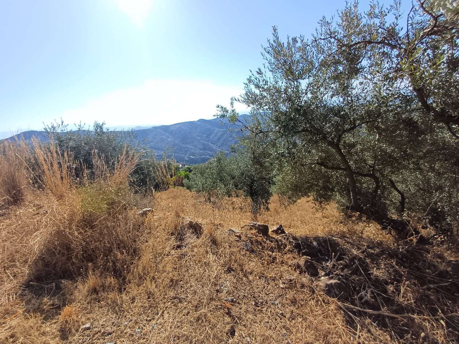 Rustic plot in Moclinejo with sea views