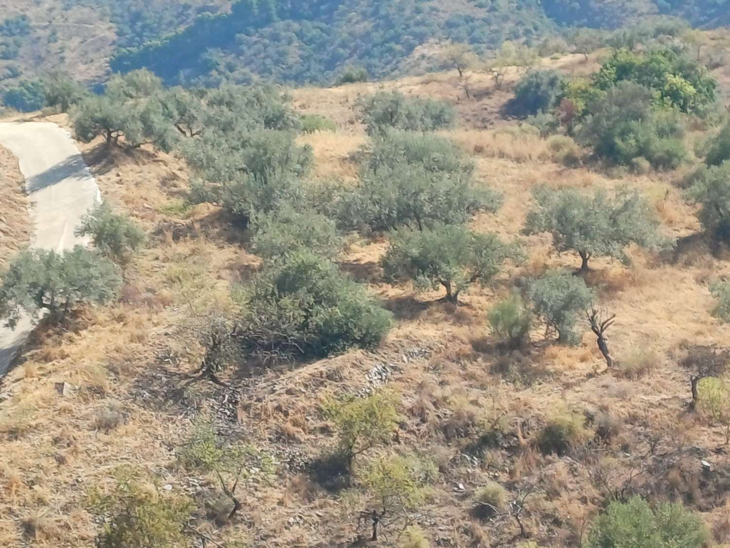 Rustic plot in Moclinejo with sea views