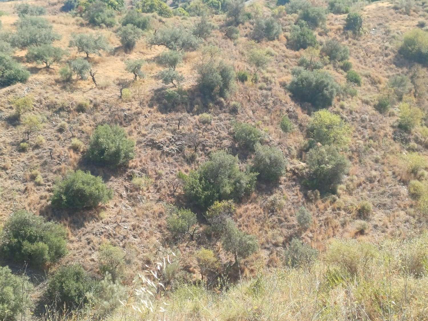 Rustic plot in Moclinejo with sea views