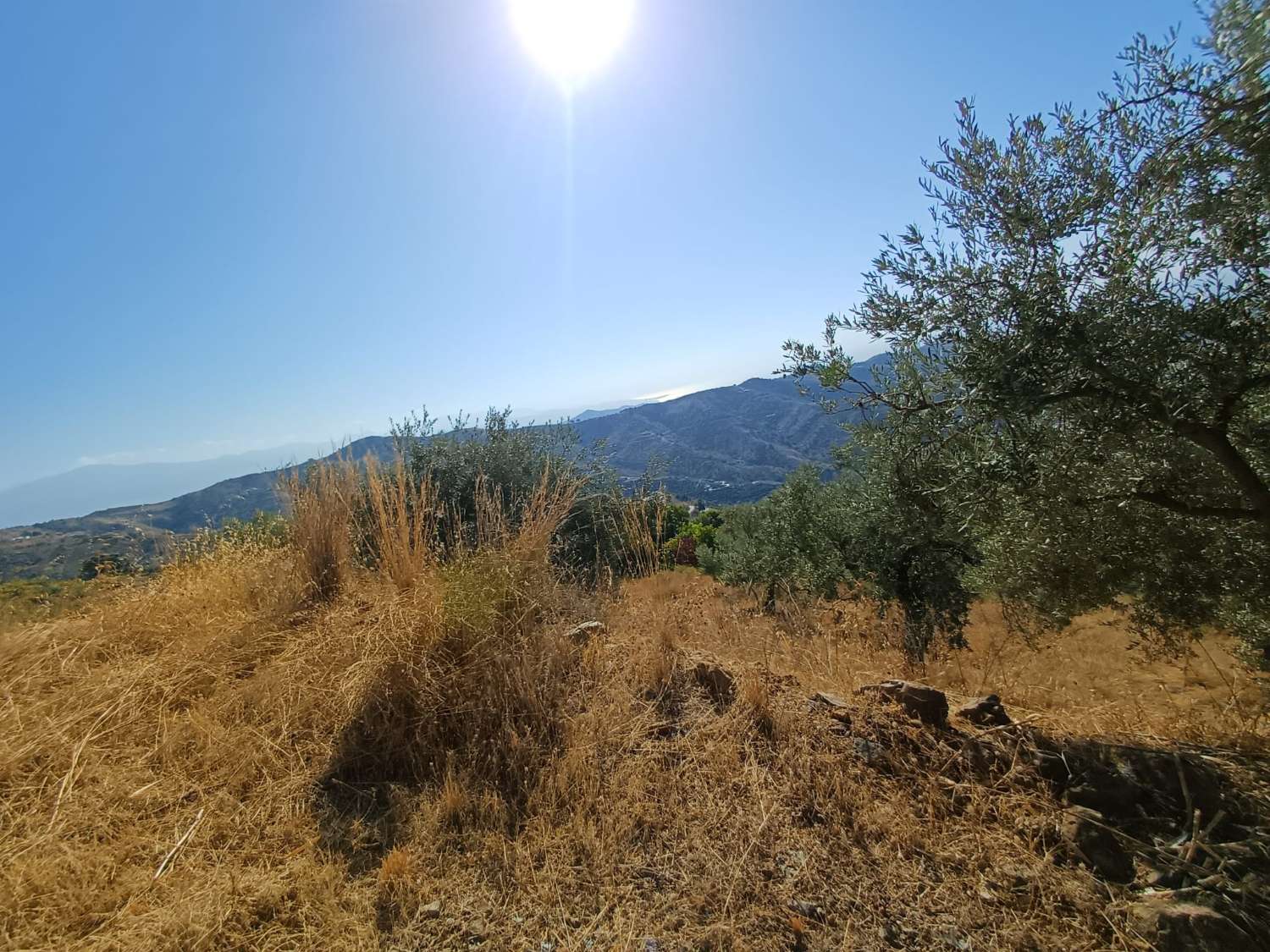 Rustic plot in Moclinejo with sea views
