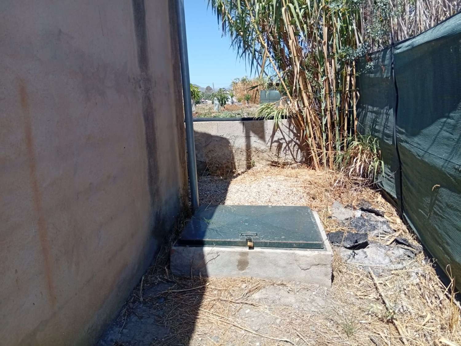 Parcela de aguacates en velez malaga