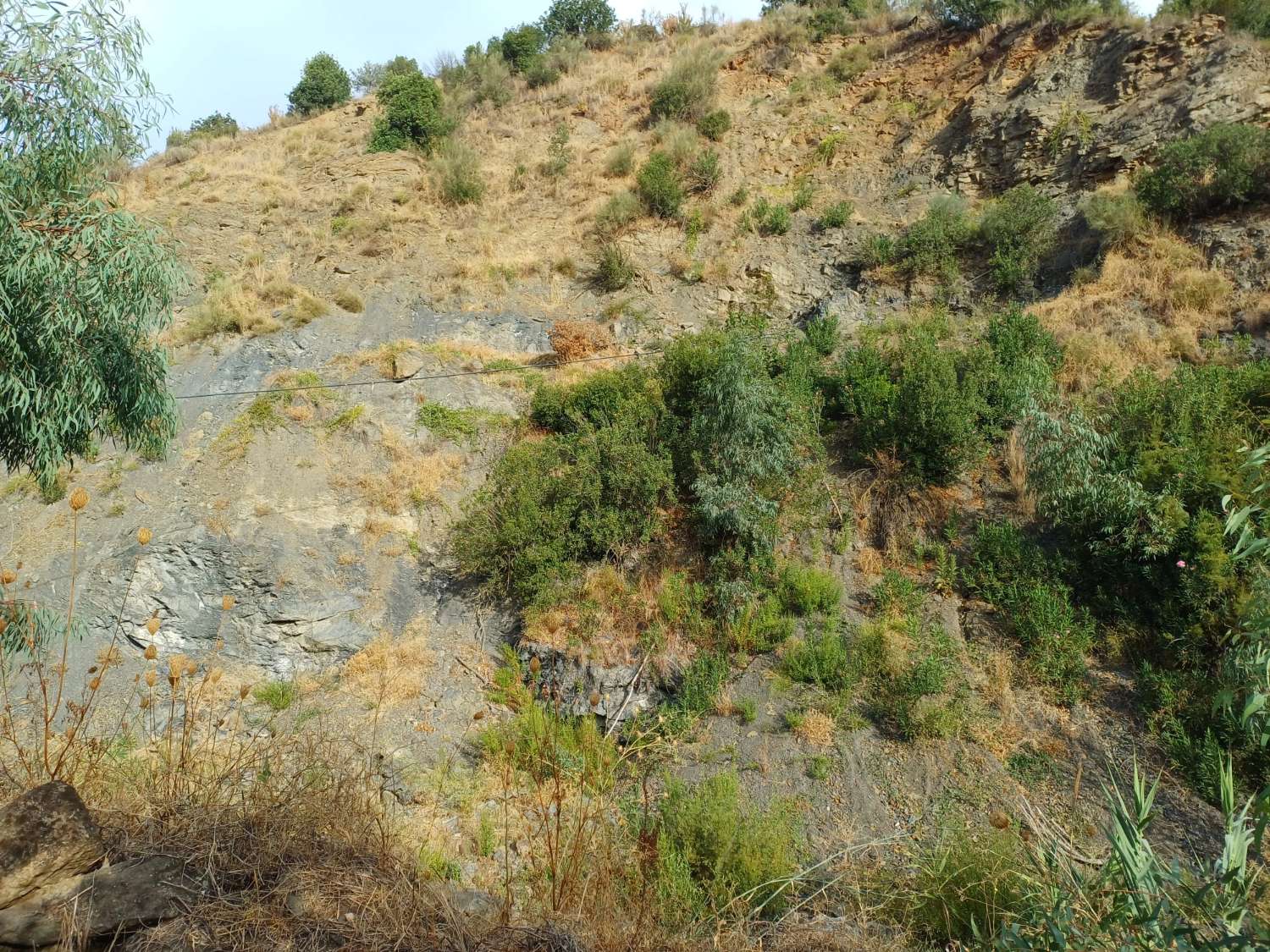 Plot salgai in Comares