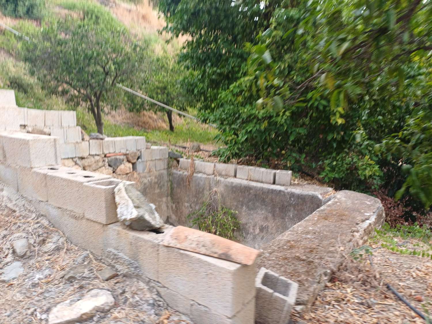 Plot salgai in Comares