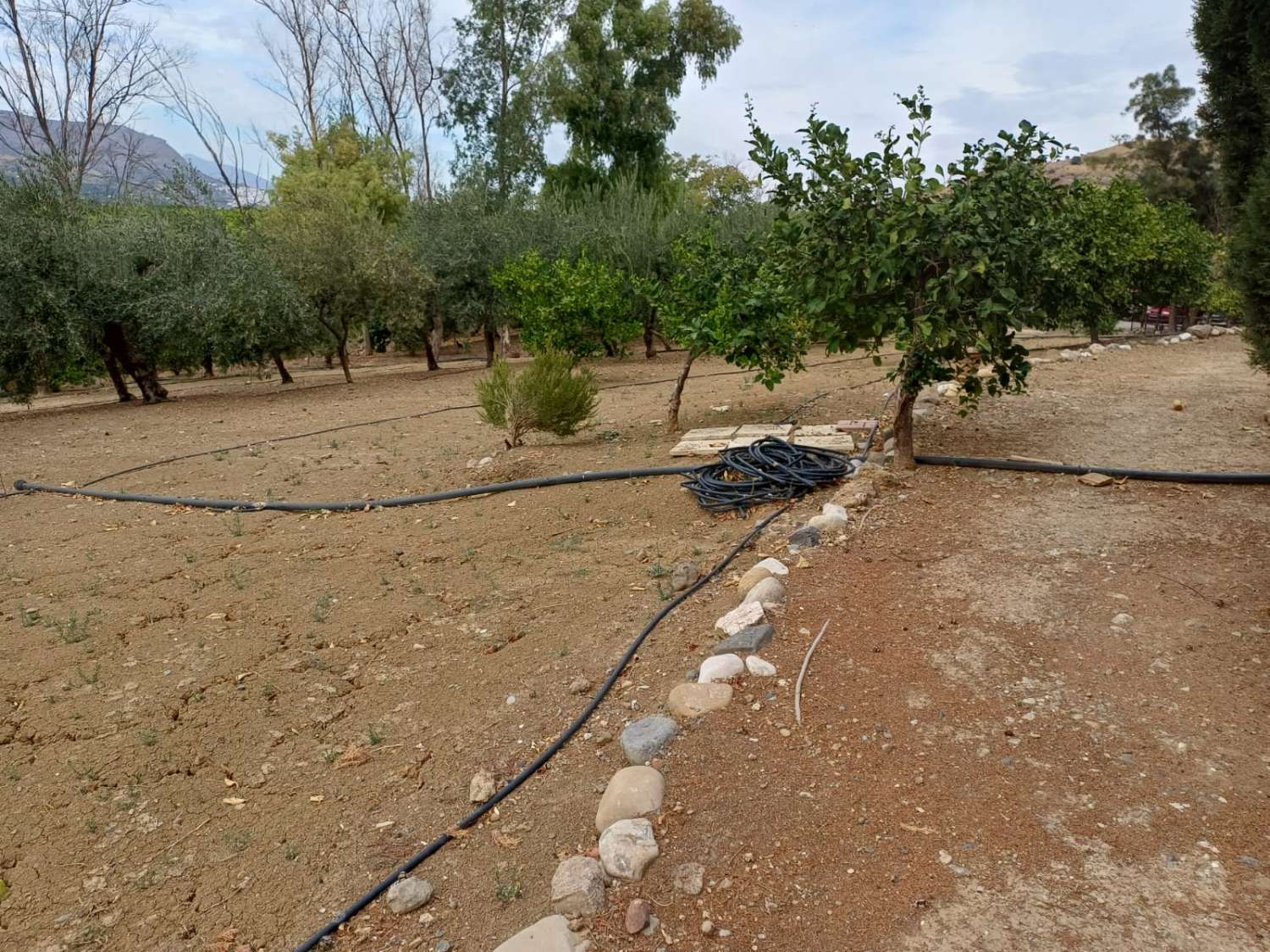Complesso residenziale in ardesia con 5 case e piscina.