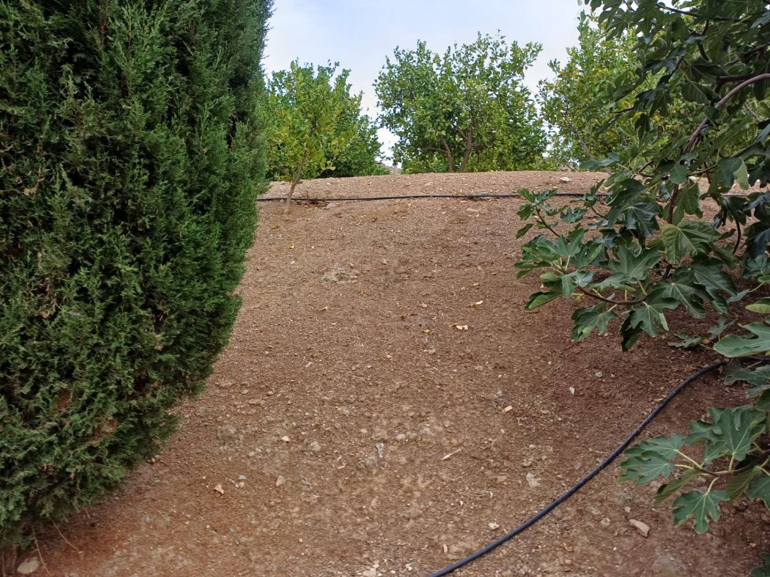 Complesso residenziale in ardesia con 5 case e piscina.