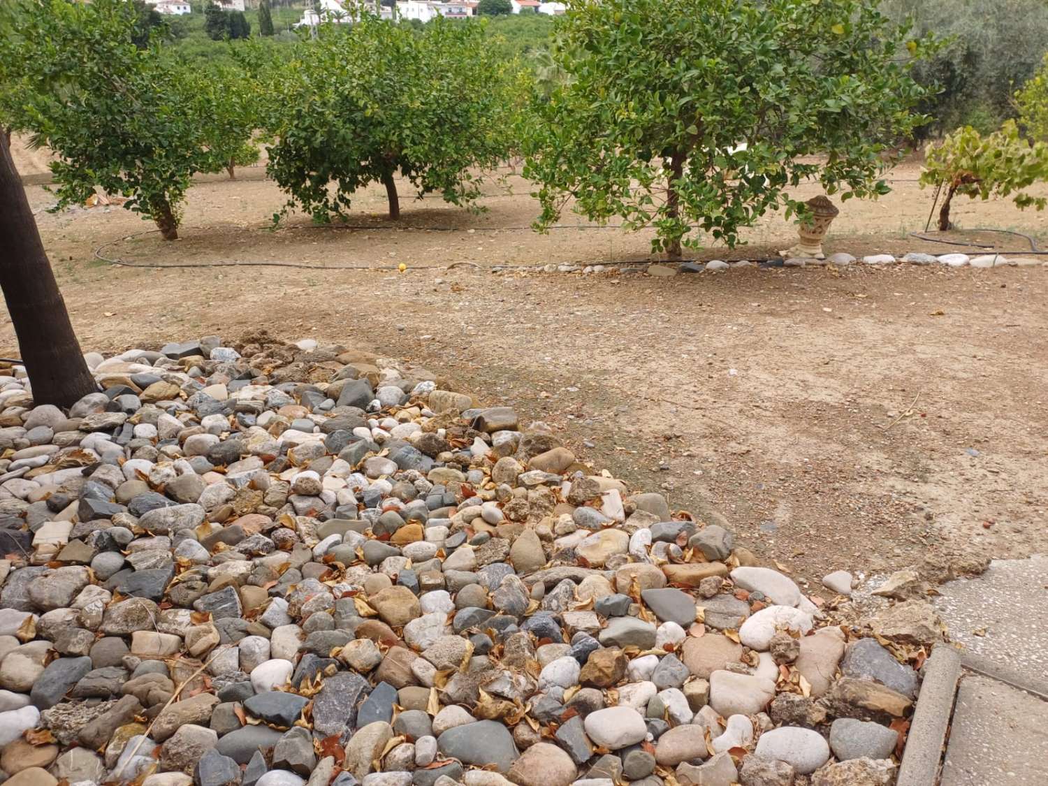 Complesso residenziale in ardesia con 5 case e piscina.