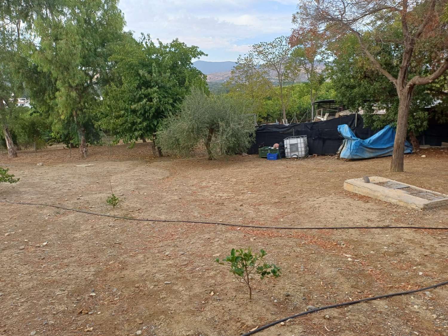 Complesso residenziale in ardesia con 5 case e piscina.