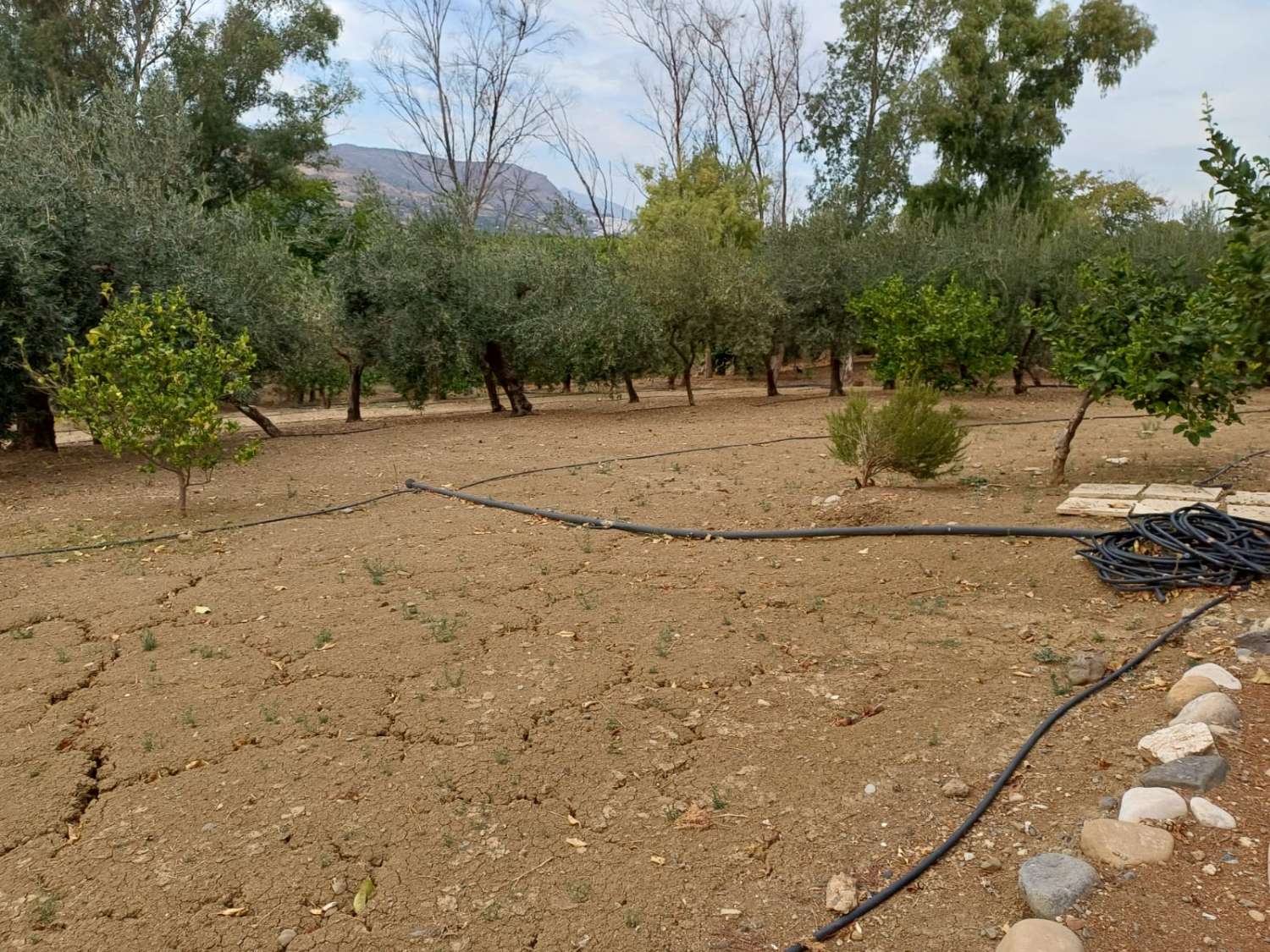 Complesso residenziale in ardesia con 5 case e piscina.