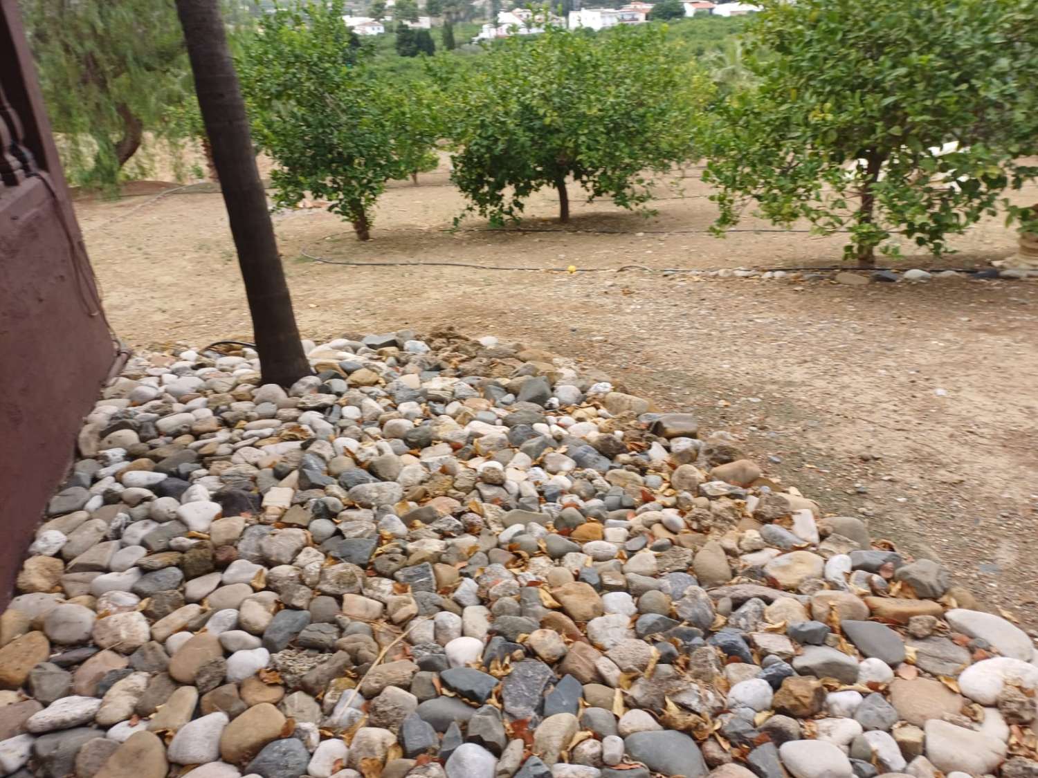 Complesso residenziale in ardesia con 5 case e piscina.