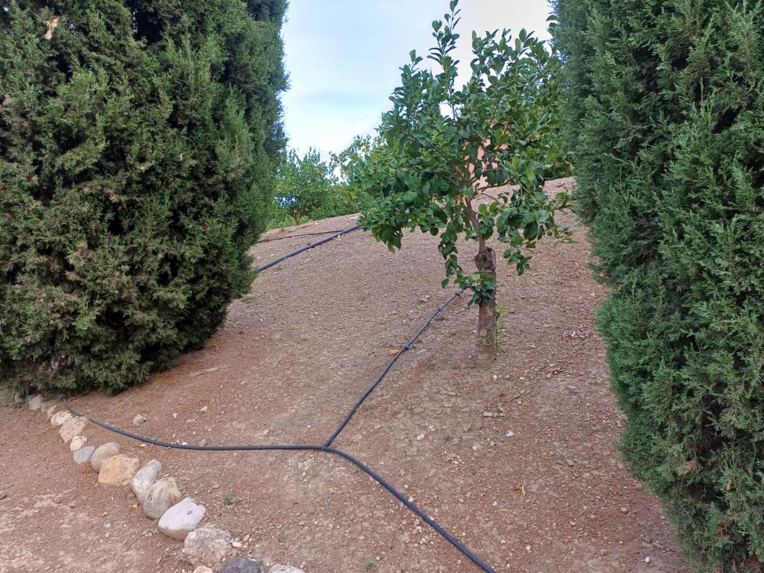 Complesso residenziale in ardesia con 5 case e piscina.
