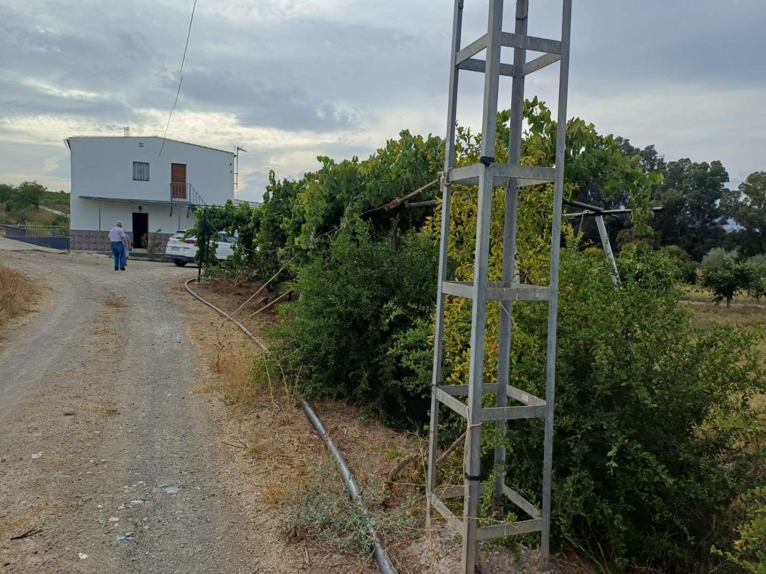 Finca de naranja  con 2 casas en pizarra