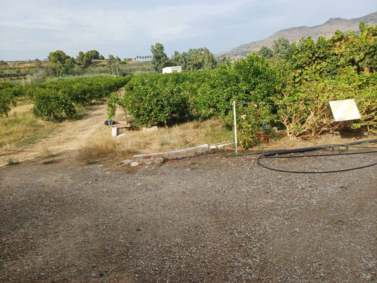 Finca de naranja  con 2 casas en pizarra
