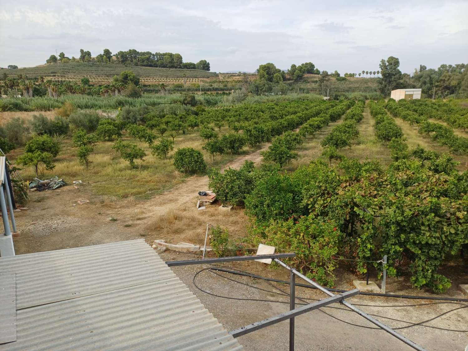 Finca de naranja  con 2 casas en pizarra