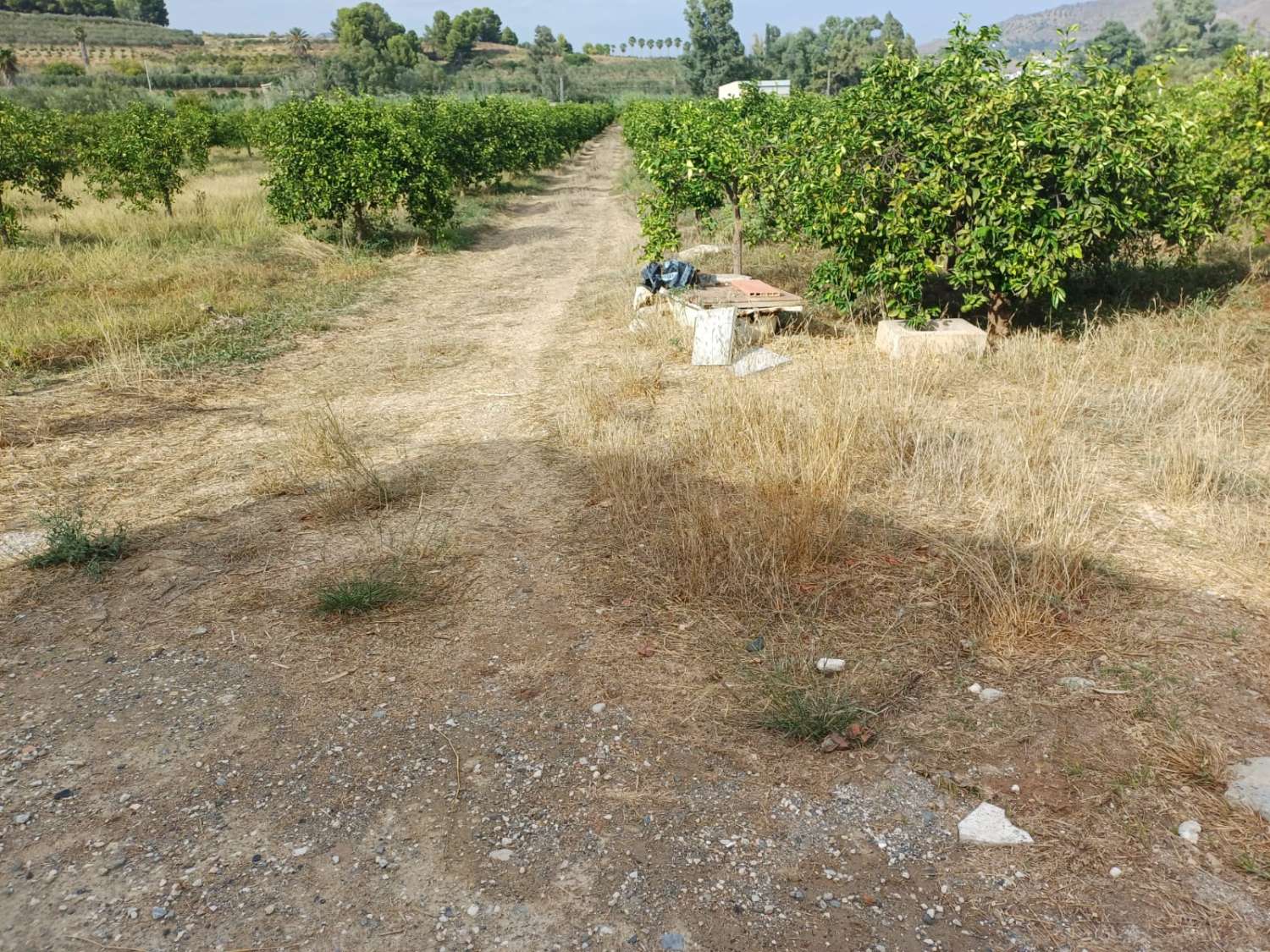 Finca de naranja  con 2 casas en pizarra