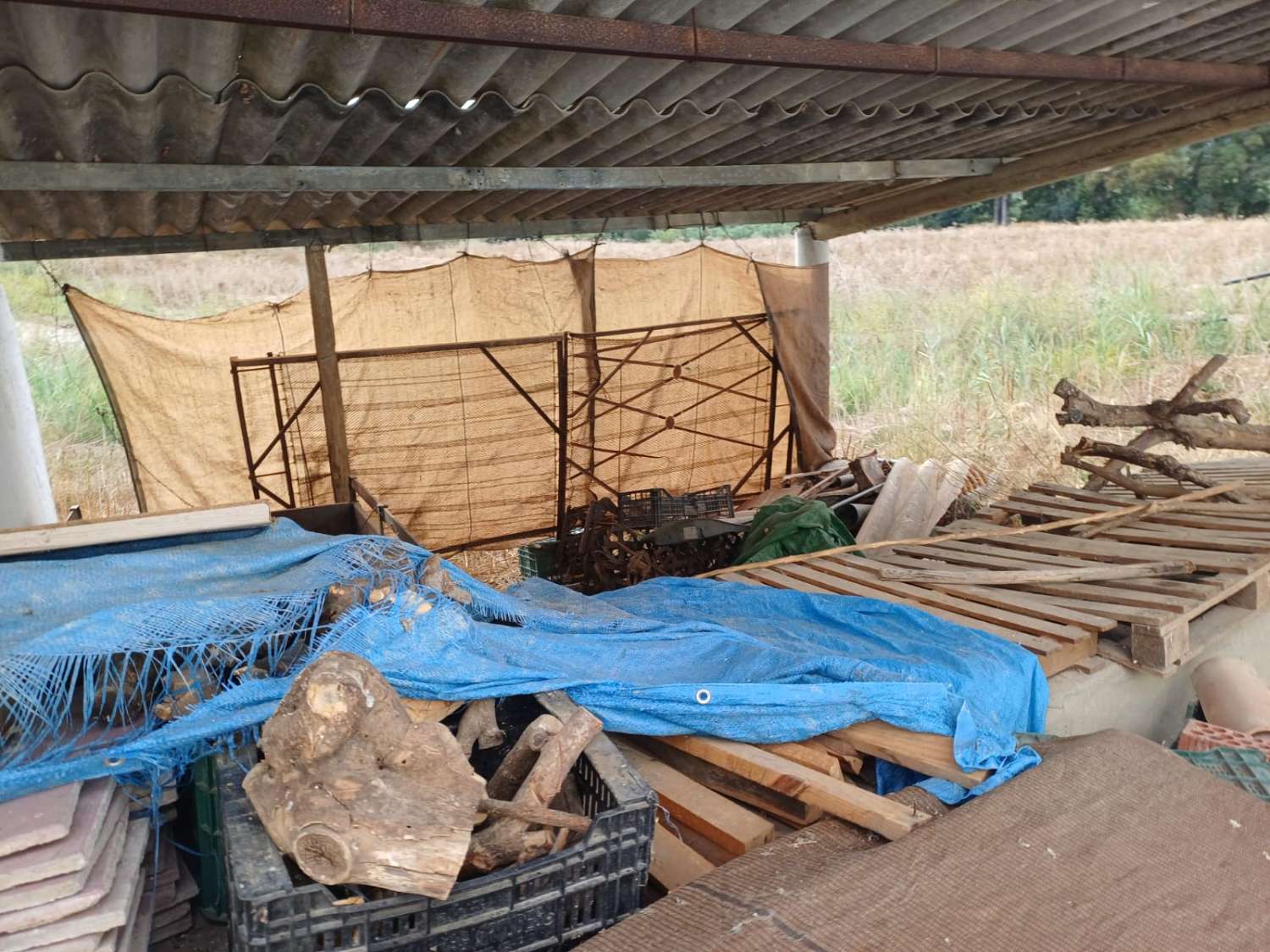 Finca de naranja  con 2 casas en pizarra