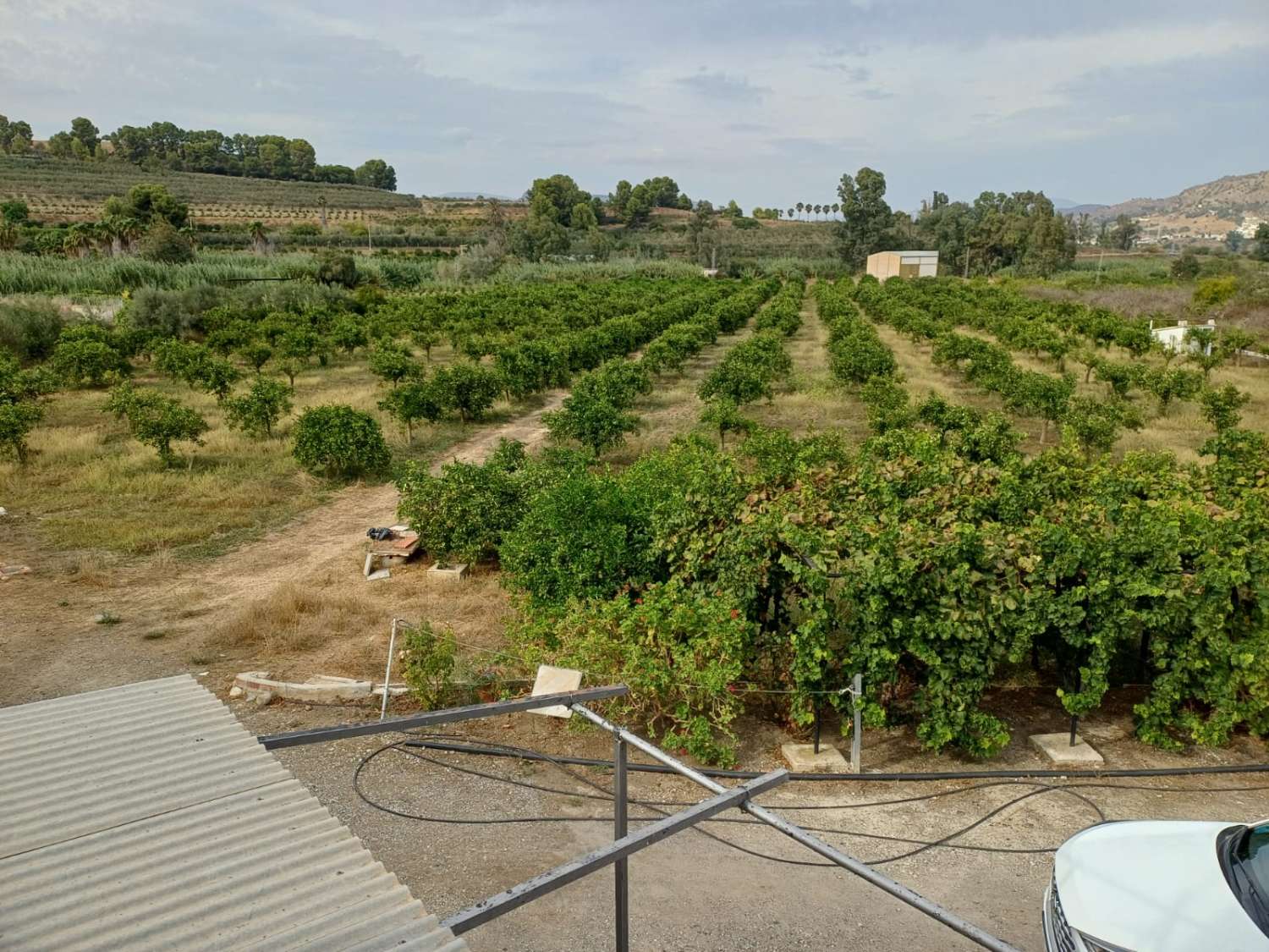 Finca de naranja  con 2 casas en pizarra