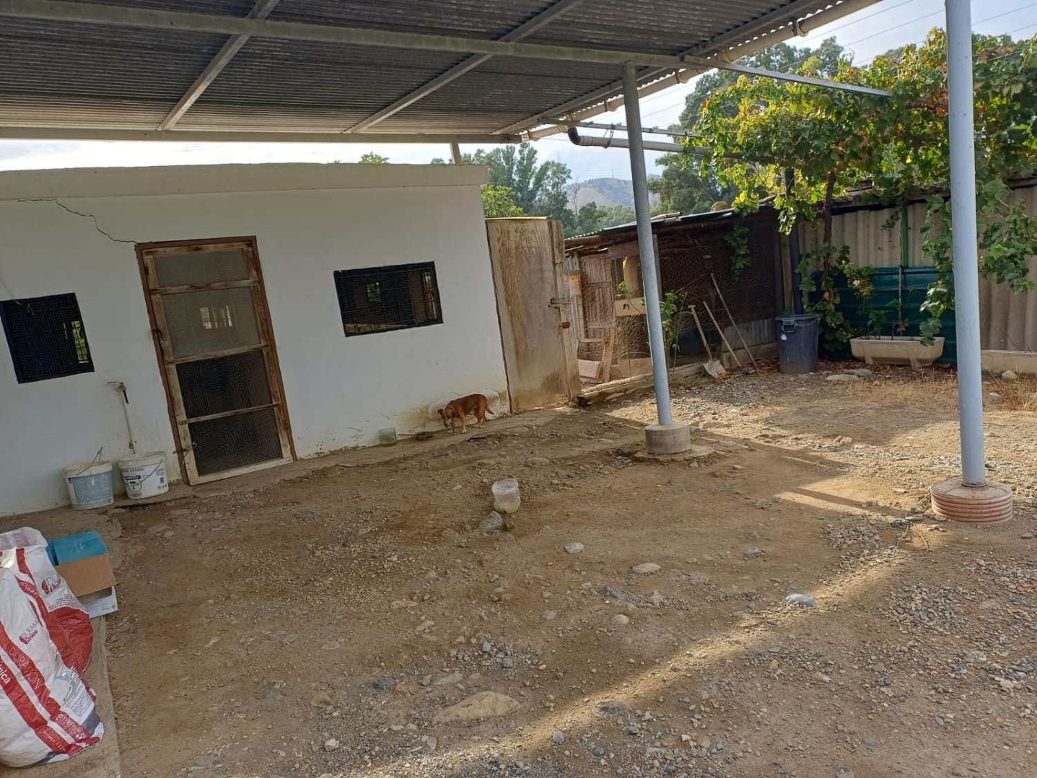 Finca de naranja  con 2 casas en pizarra
