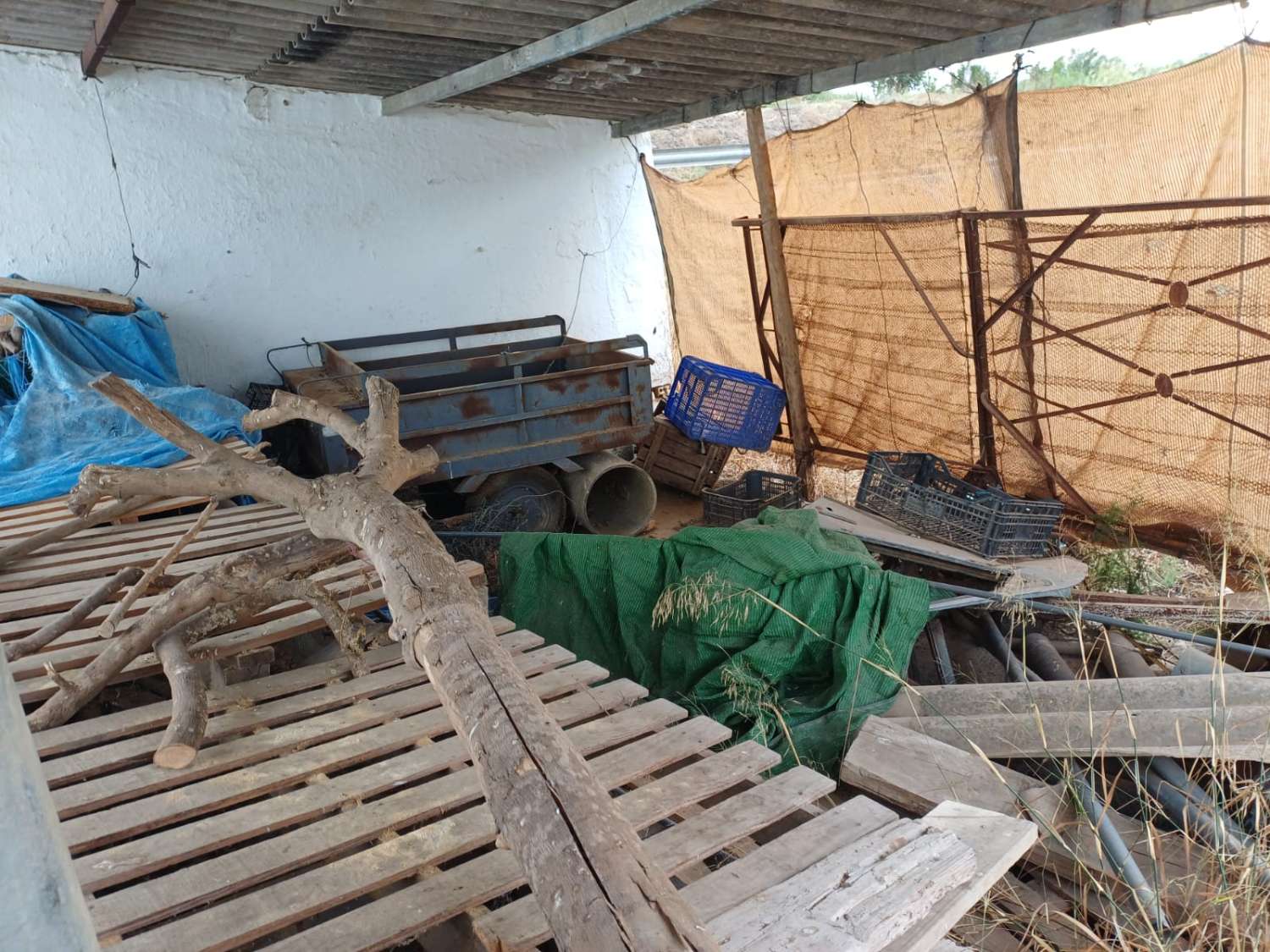 Finca de naranja  con 2 casas en pizarra