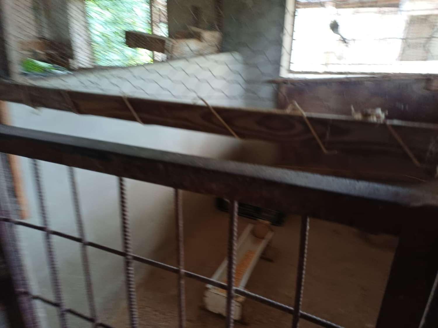 Finca de naranja  con 2 casas en pizarra