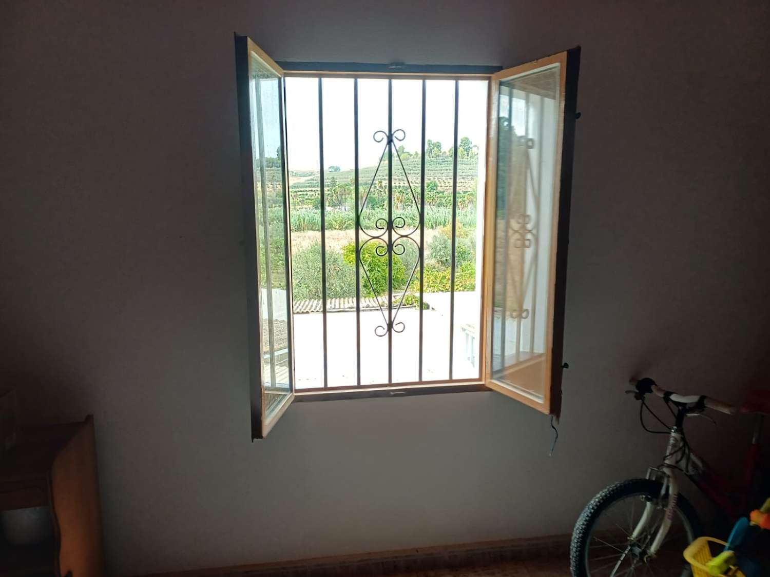 Finca de naranja  con 2 casas en pizarra