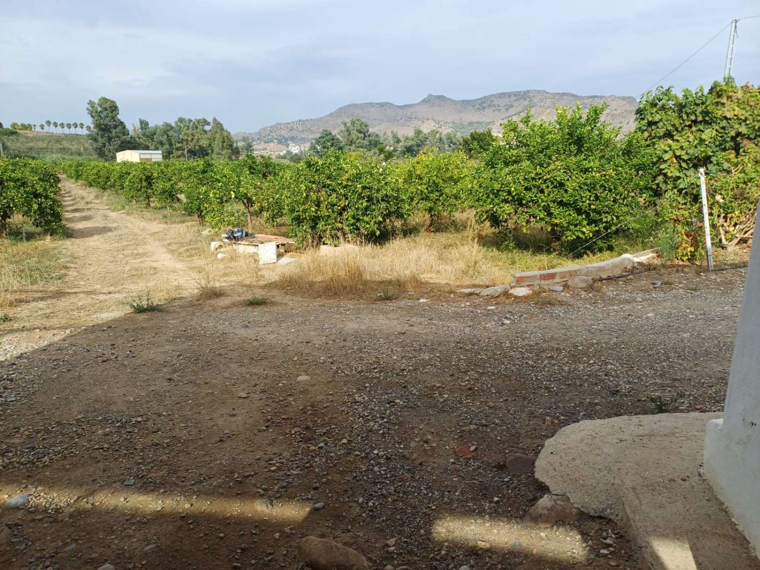 Finca de naranja  con 2 casas en pizarra