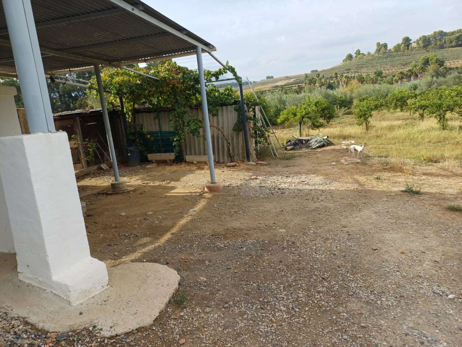 Finca de naranja  con 2 casas en pizarra