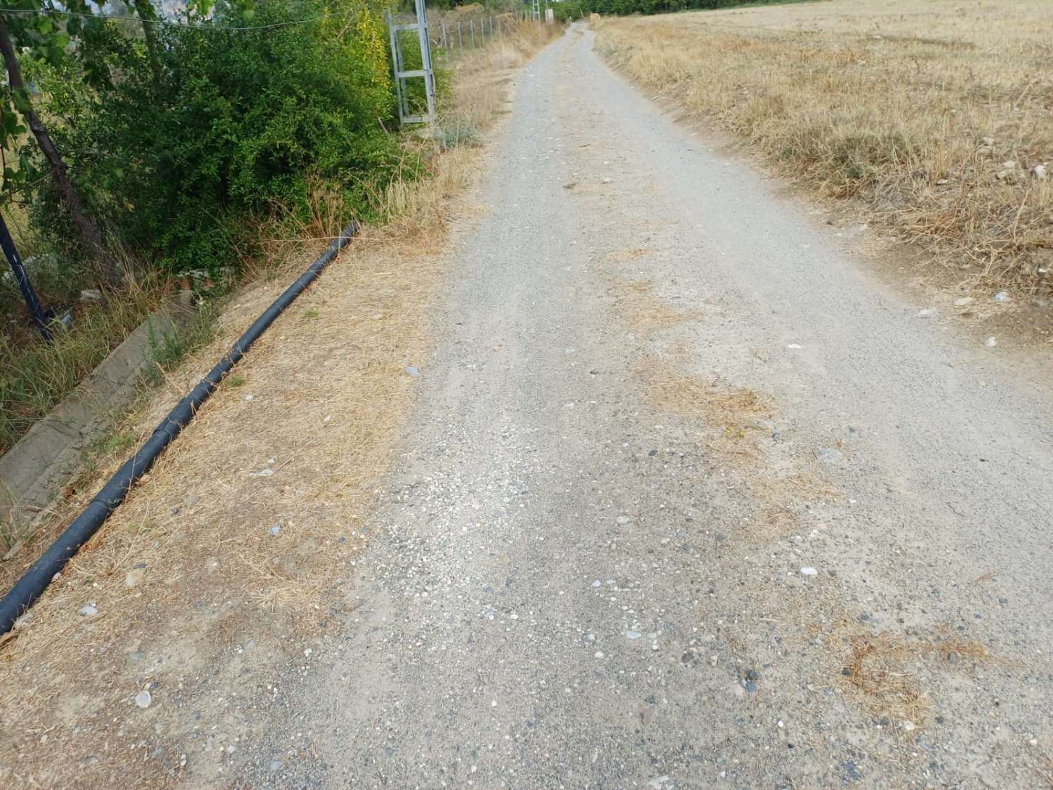 Finca de naranja  con 2 casas en pizarra